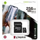 MICRO SD 256GB XC CLASSE 10...