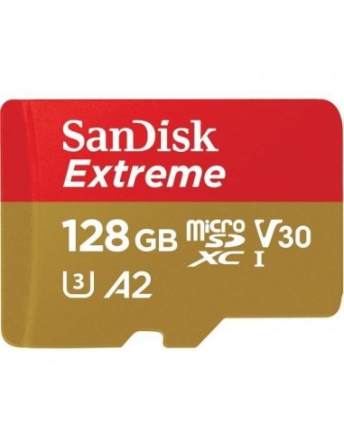 MICRO SD 128GB XC CLASSE 10 CANVAS GO...